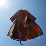 LIMITED EDITION KIMONO FZ x VLASCHITS